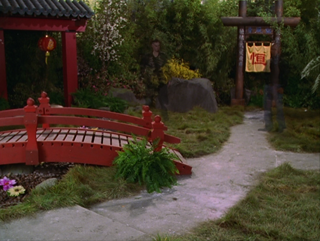 File:8x14P28.png