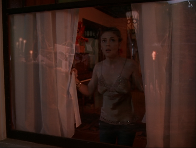 File:8x13P15.png