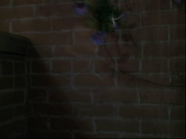 File:8x21P45.png