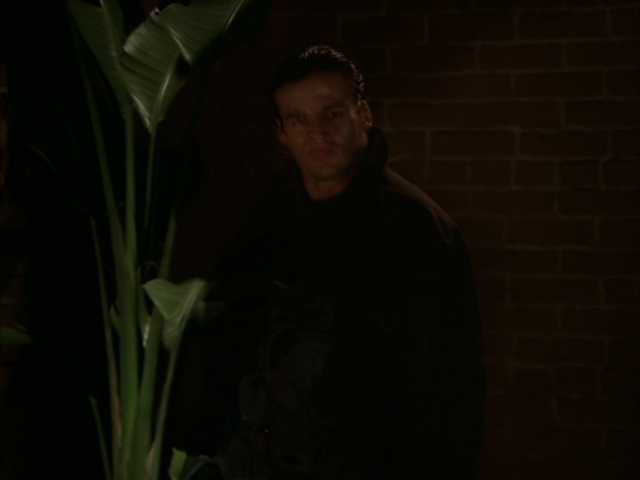 File:8x20P66.png