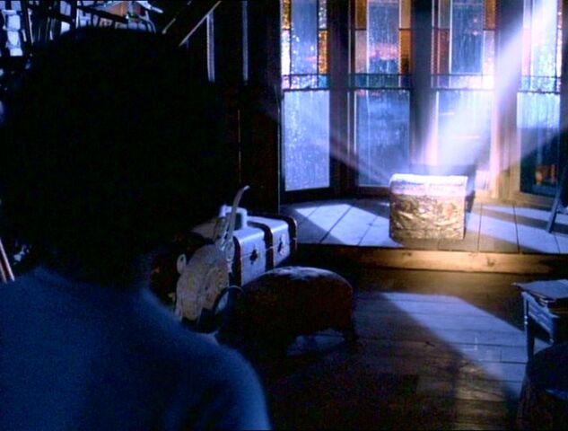 Arquivo:Phoebe seeing light trunk.jpg