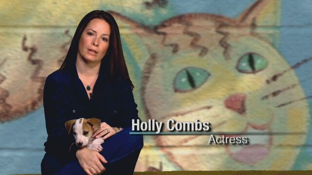 File:2011 AustinAnimalCenter-SummerofLove-1 10.jpg