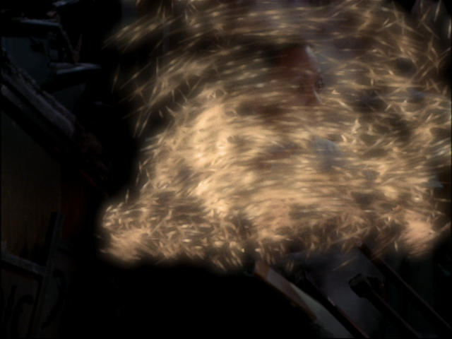 File:8x21P54.png