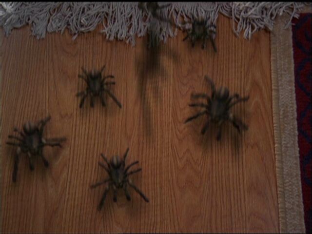 File:Arachnophobia.jpg