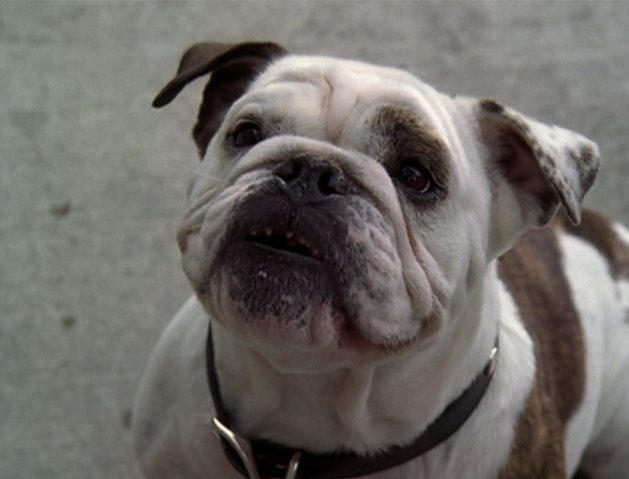 File:6x02-28.png