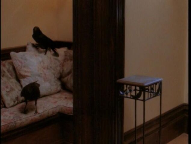 File:Shapeshifter-crows.jpg