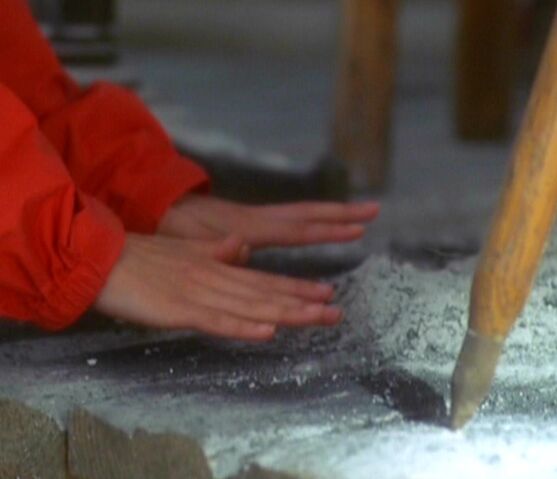 File:PhoebePsychometry.jpg