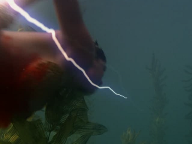 File:5x02P4.png