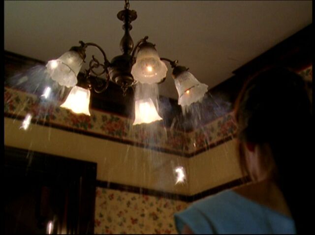 File:PiperPMSLights.jpg