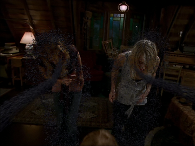 File:8x21Hollow4.png