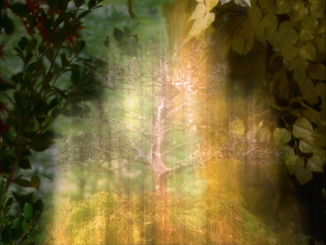 File:8x14P30.png