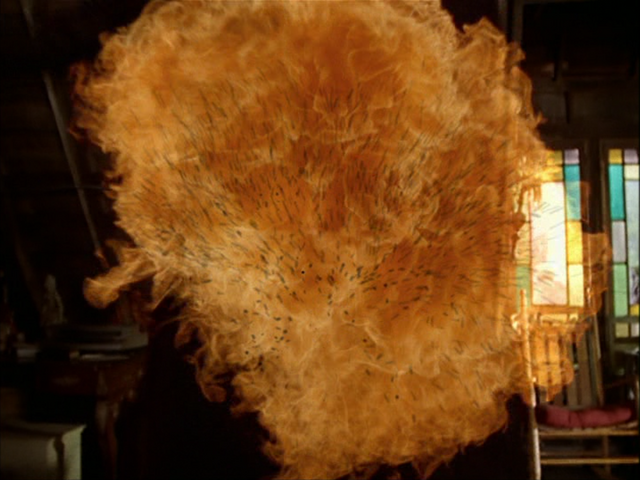 File:8x13P18.png