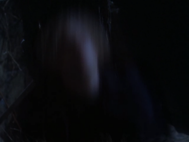File:5x14P7.png