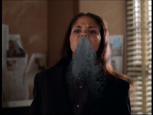 File:PDVD 007.jpeg