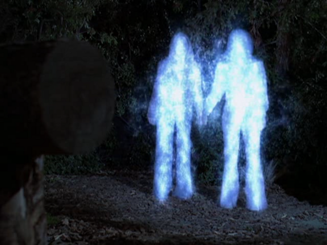 File:5x14P10.png