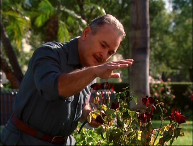 File:Charmed807 160.jpg