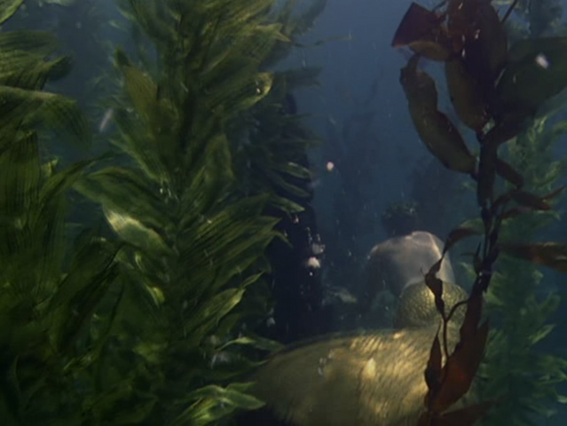 File:5x02-2.png