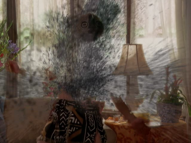 File:5x01P4.png