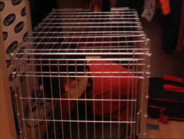 File:Brookecage.jpg