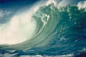 File:Roxy's Biggest Tsunami.jpg