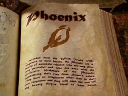 Phoenix BOS