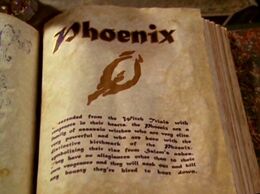 Phoenix BOS