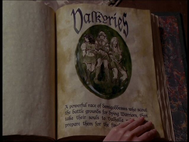 File:Valkyries BOS1.jpg