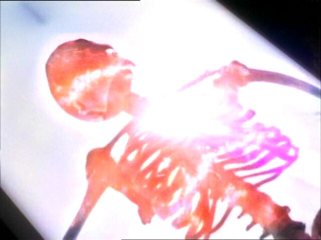 File:Javna Vanquish4.jpg