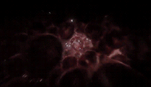 Tumblr nmhz4vvGlE1u7wdiqo8 250