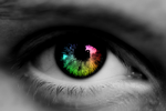 Rainbo11