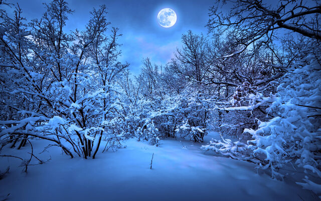 File:Winter.jpg
