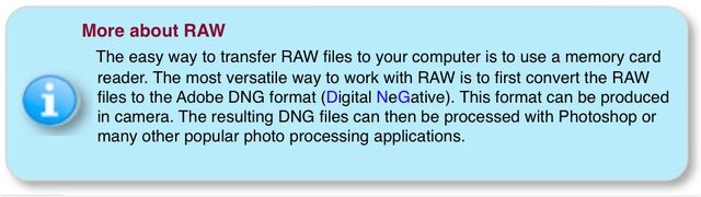 File:Info -RAW.jpg