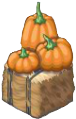 Pumpkin Hey Bale