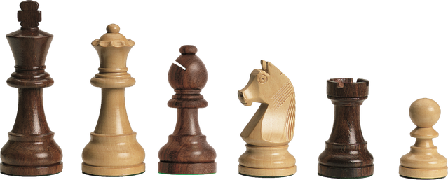 File:DGT Chessmen.png