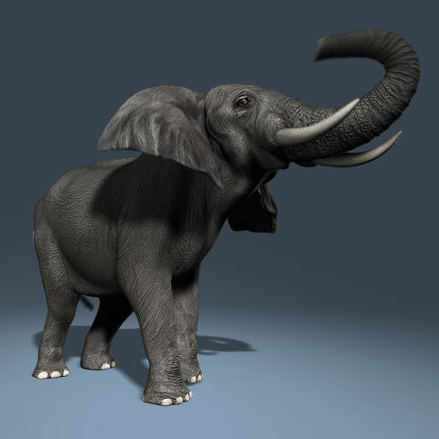 File:3.jpgb4503055-1c0a-43d9-93f3-827182100924Large.jpg
