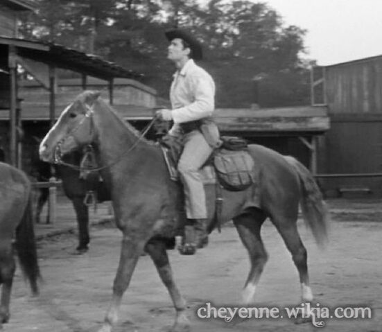 File:Brandy-horse.jpg