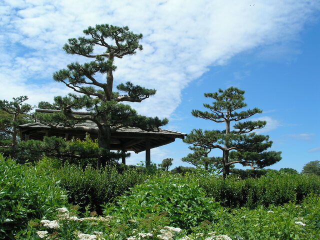 File:CBG Japanese Garden 1.jpg