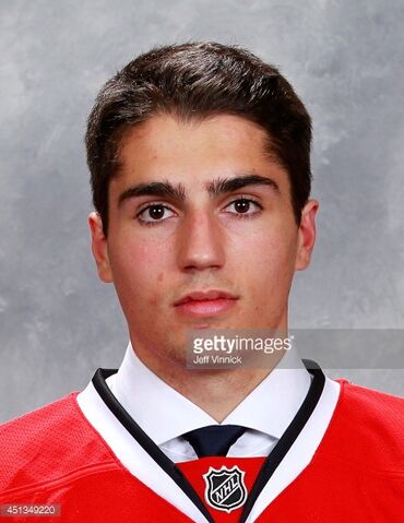 File:Schmaltz2014draftportrait.jpg