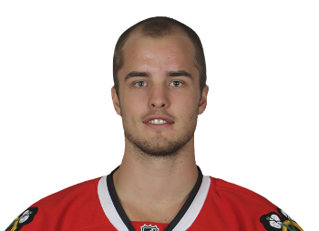 File:Niklashjalmarsson.png