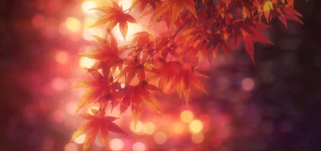 File:Chihayafuru-soshite-ima-ending-1 (1).png
