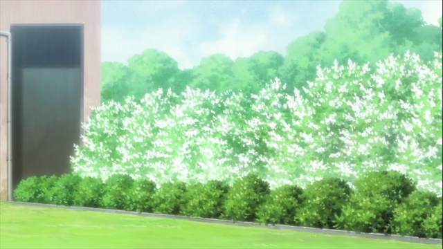 File:Episode6 green and white.png