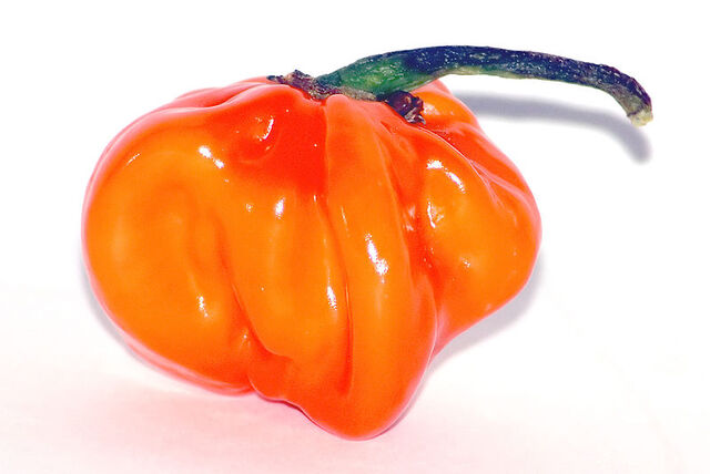 File:Habanero.jpg