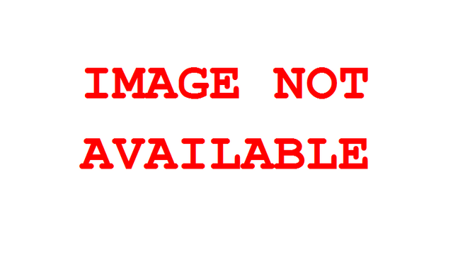 File:NoPic.png