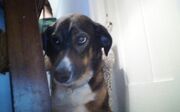 KINDLE CAMERA 1457293197000