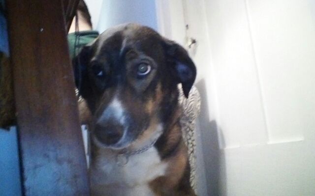 File:KINDLE CAMERA 1457293197000.jpg