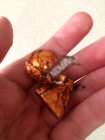 File:Candy pumpkin spice.jpeg
