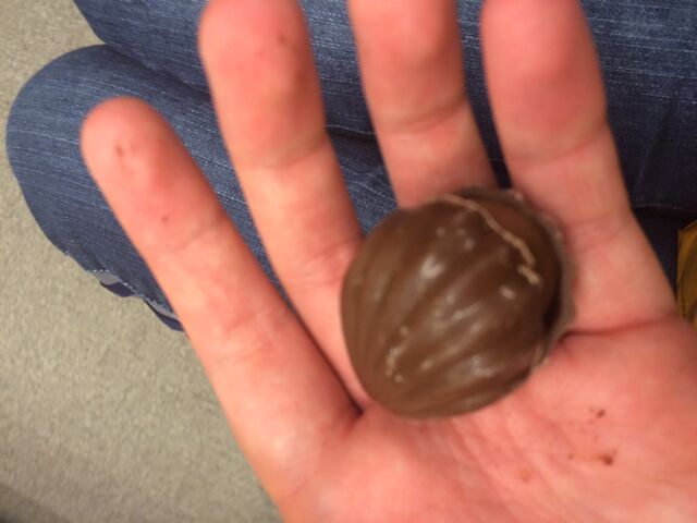 File:Milk chocolate oyster Godiva.jpeg