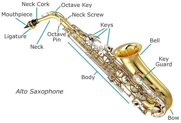File:Saxophone-diagram.jpg