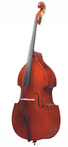 File:Bass6.jpg