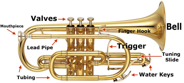 File:Cornet-diagram.jpg